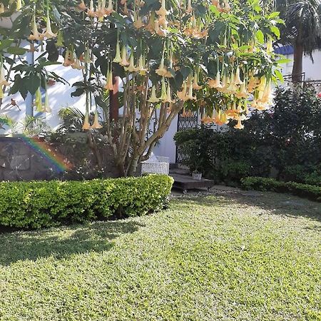 Figtree Guesthouse 마푸토 외부 사진