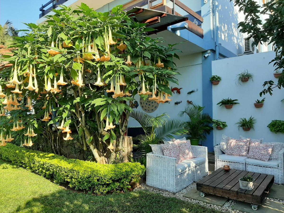 Figtree Guesthouse 마푸토 외부 사진