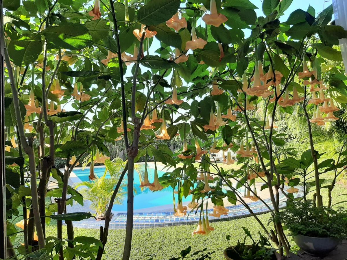 Figtree Guesthouse 마푸토 외부 사진