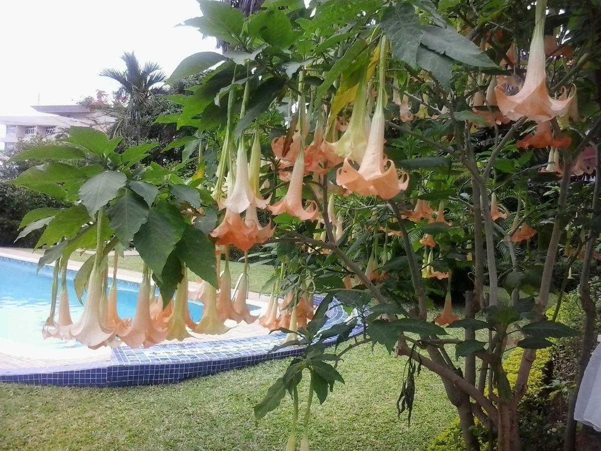 Figtree Guesthouse 마푸토 외부 사진